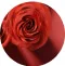 Online Carte Cadeau