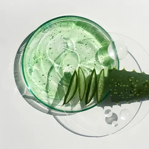 Aloe